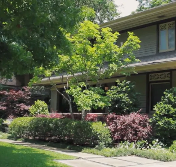 Expert lawn care service in Dallas, TX by Dallas Groundskeeper