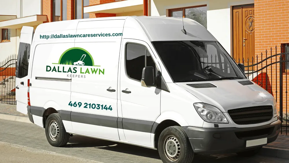 Custom outdoor landscaping in Dallas, TX by Dallas Lawn Keepers