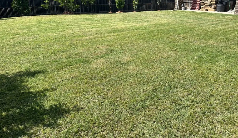 Professional landscape design for outdoor upgrades in Dallas, TX by Dallas Mowing Solutions