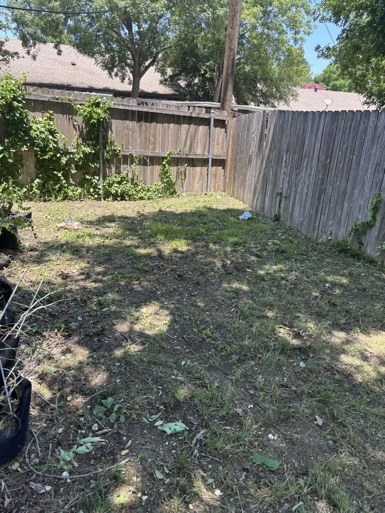 Custom lawn mowing service in Dallas, TX by Dallas Mowing Solutions