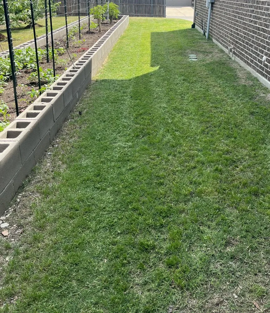 Trusted lawn care service with custom design in Dallas, TX by Dallas Mowing Solutions