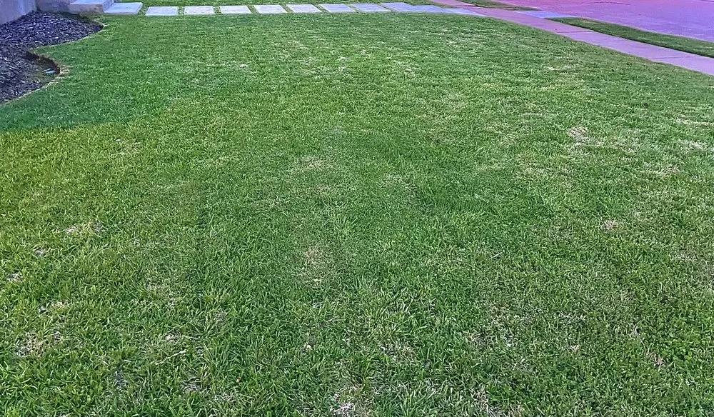 Trusted garden landscaping for outdoor upgrades in Dallas, TX by Dallas Mowing Solutions