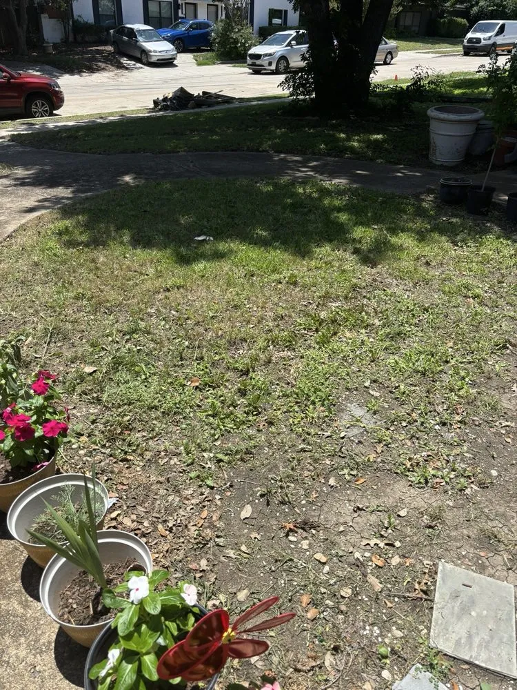 Expert lawn mowing service in Dallas, TX - Dallas Mowing Solutions