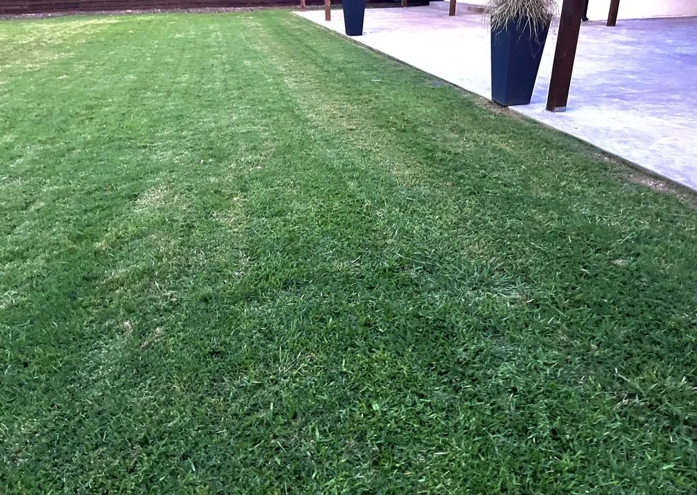 Expert landscape design for outdoor upgrades across Dallas, TX - Dallas Mowing Solutions