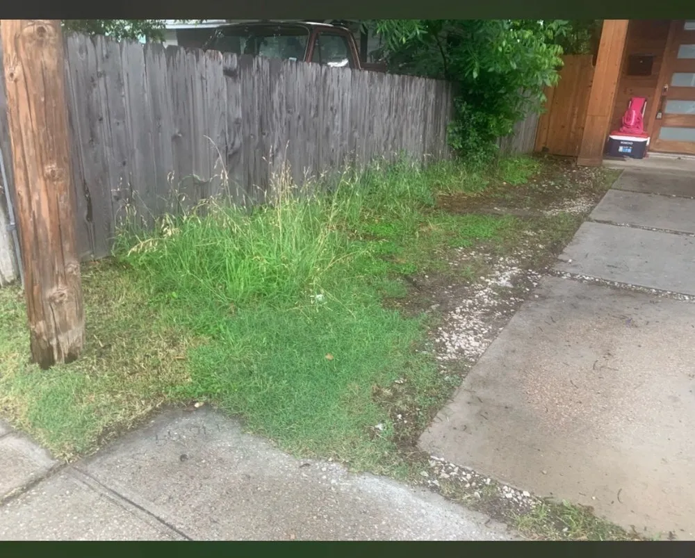 Trusted landscaping services for homes in Dallas, TX by Dallas Mowing Solutions