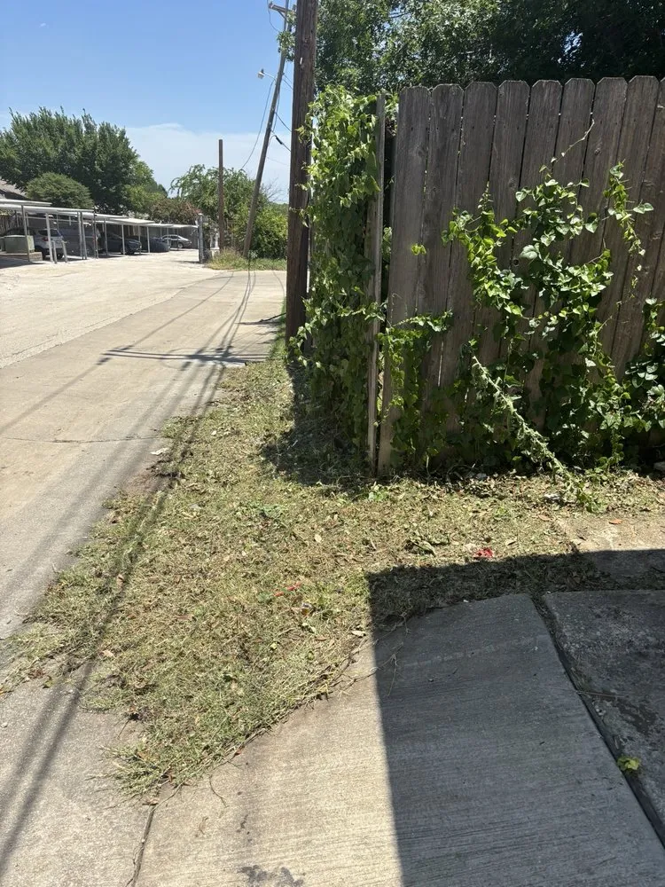 Custom landscape design in Dallas, TX by Dallas Mowing Solutions