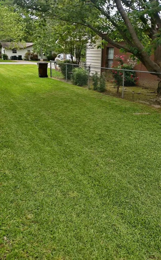 Affordable yard maintenance in Dallas, TX by Dallas Mowing Solutions