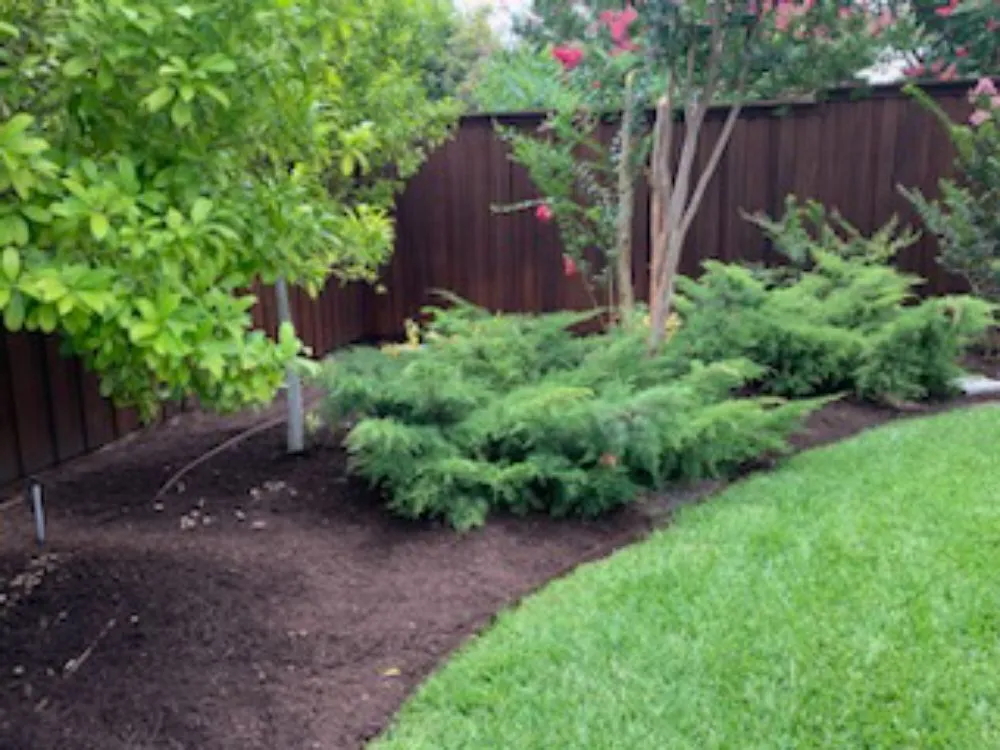 Top-rated yard cleanup service for outdoor upgrades across Dallas, TX - Dallas Mowing Solutions
