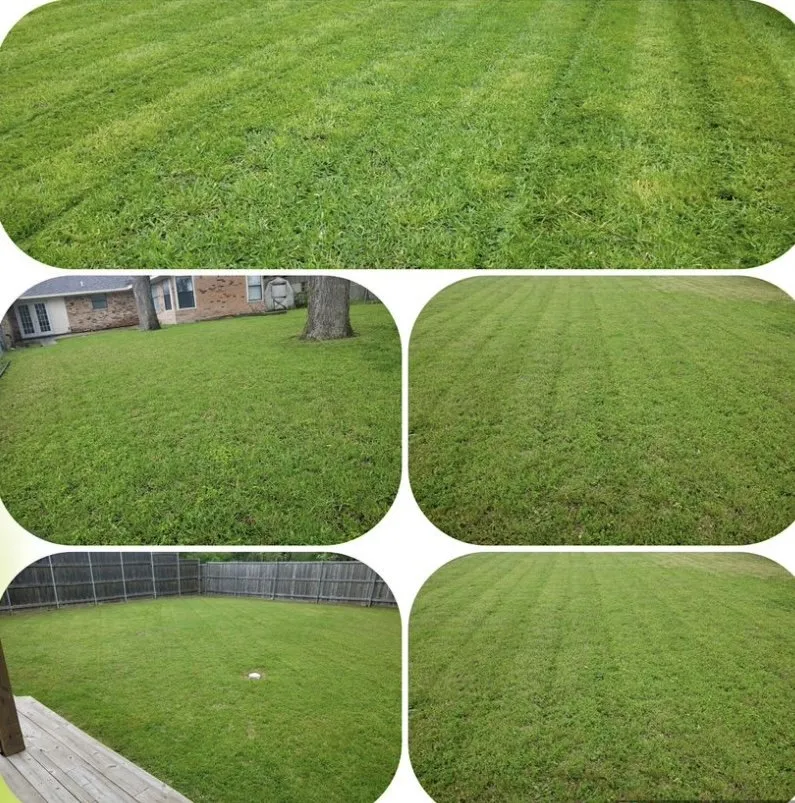Local lawn mowing service near you across Dallas, TX - Dallas Mowing Solutions