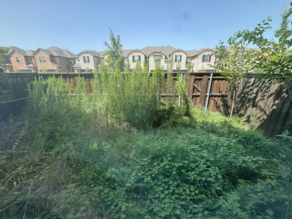 Trusted landscape design for year-round maintenance across Dallas, TX - Dallas Mowing Solutions