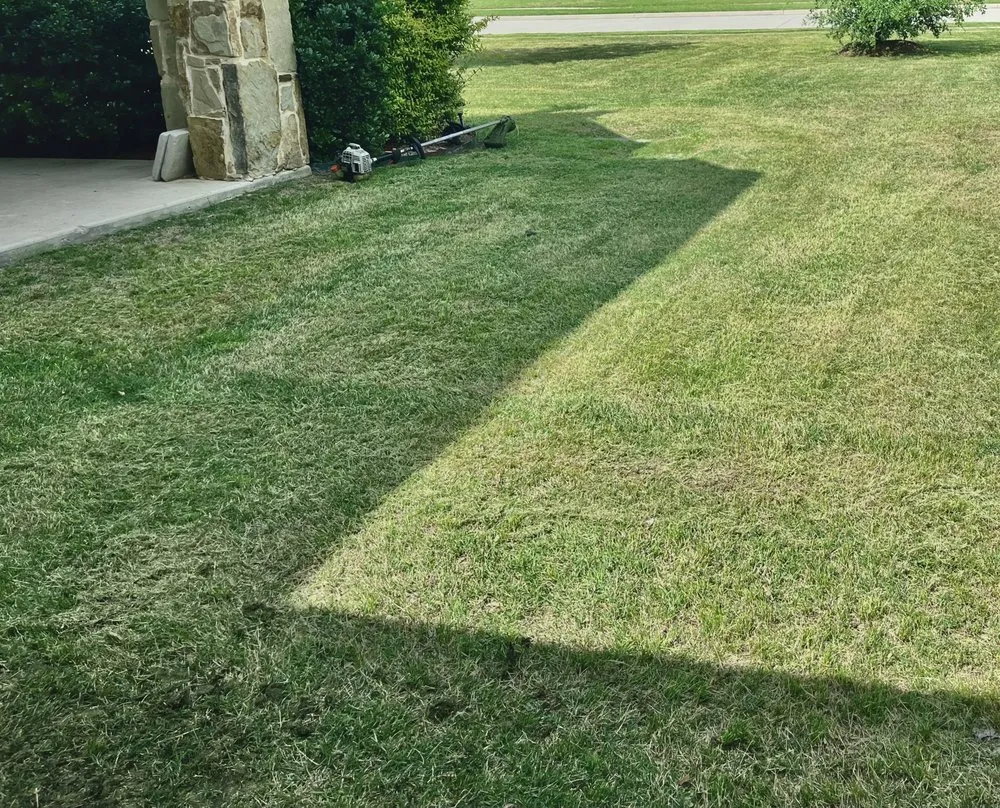 Professional landscape design for residential properties in Dallas, TX by Dallas Mowing Solutions
