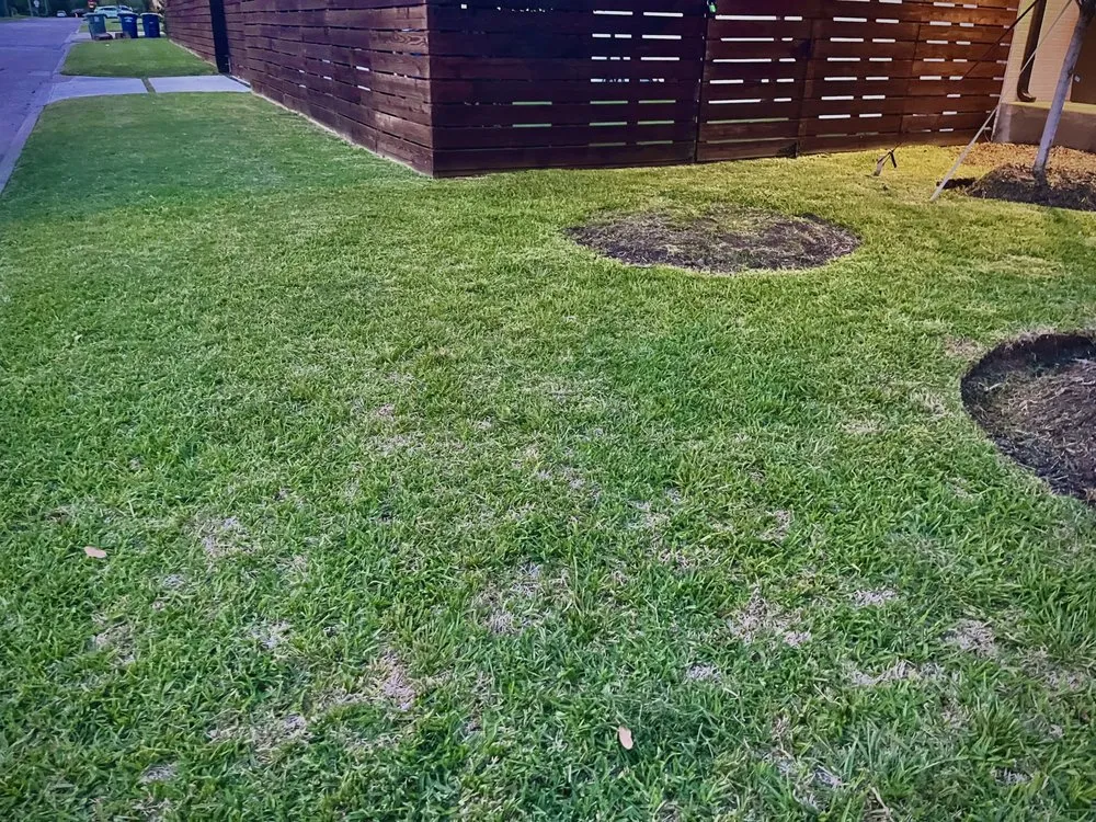 Affordable yard maintenance experts serving Dallas, TX - Dallas Mowing Solutions