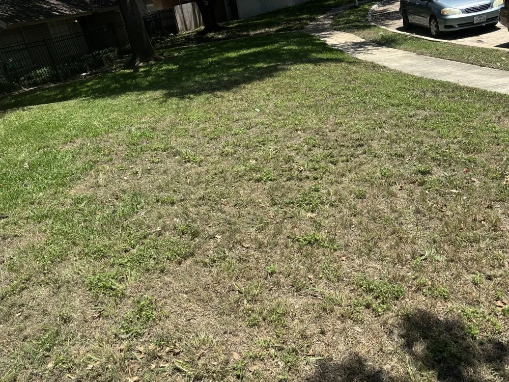 Top-rated landscaping services in Dallas, TX by Dallas Mowing Solutions