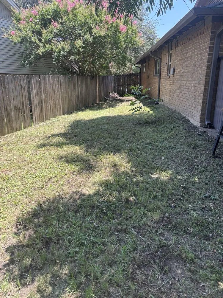 Affordable outdoor landscaping for homes across Dallas, TX - Dallas Mowing Solutions
