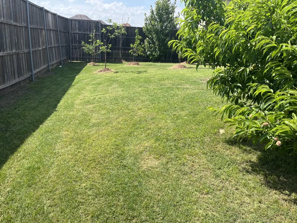 Reliable landscaping services experts serving Dallas, TX - Dallas Mowing Solutions