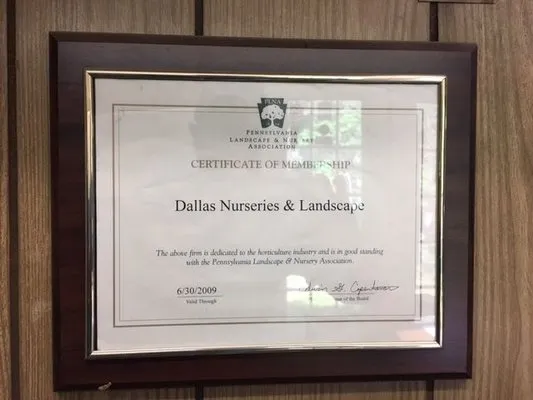 Dallas Nursery and Landscaping Logo