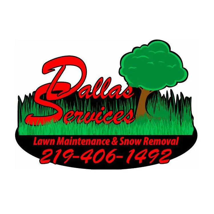 Expert yard cleanup service in Wanatah, IN - Dallas Services