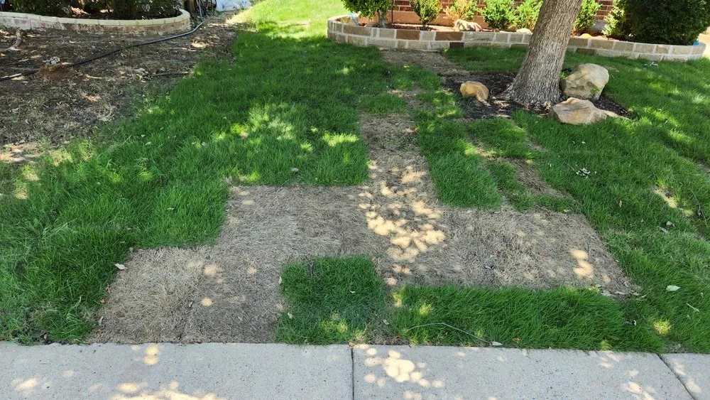 Trusted landscape design in Dallas, TX by Dallas Sod Company