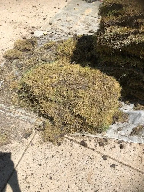 Affordable garden landscaping in Dallas, TX - Dallas Sod Company