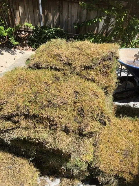 Affordable lawn mowing service in Dallas, TX by Dallas Sod Company