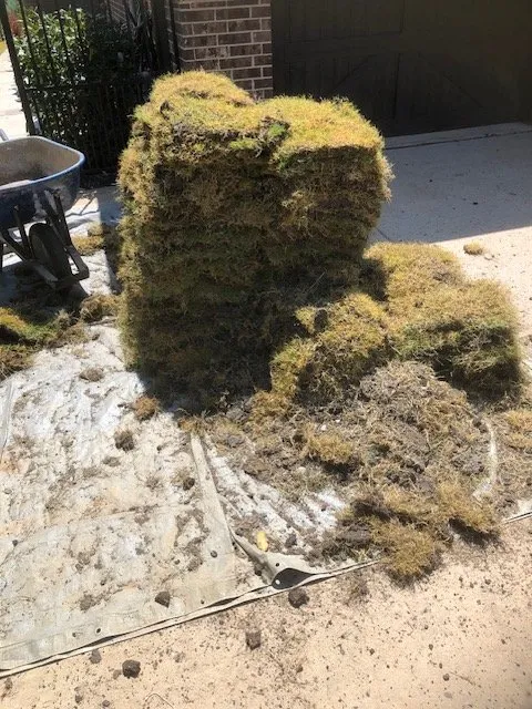 Expert outdoor landscaping in Dallas, TX by Dallas Sod Company