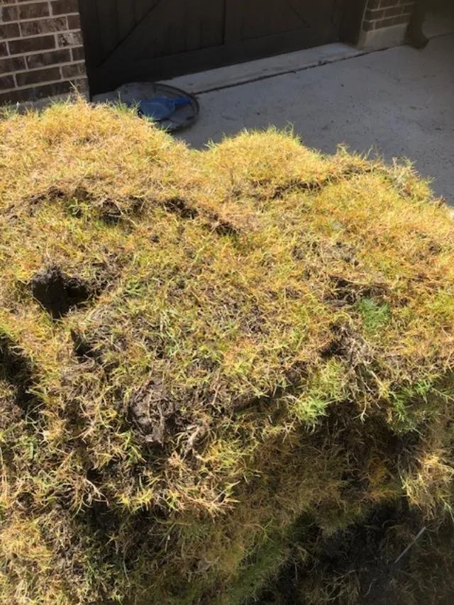 Trusted yard maintenance experts serving Dallas, TX - Dallas Sod Company