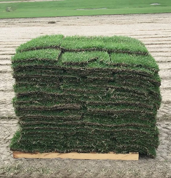 Local landscaping services for year-round maintenance across Dallas, TX - Dallas Sod Company