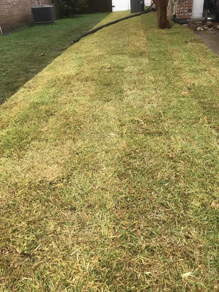 Expert outdoor landscaping for year-round maintenance in Dallas, TX by Dallas Sod Company