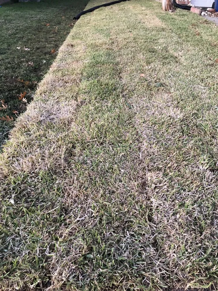 Professional garden landscaping for outdoor upgrades across Dallas, TX - Dallas Sod Company