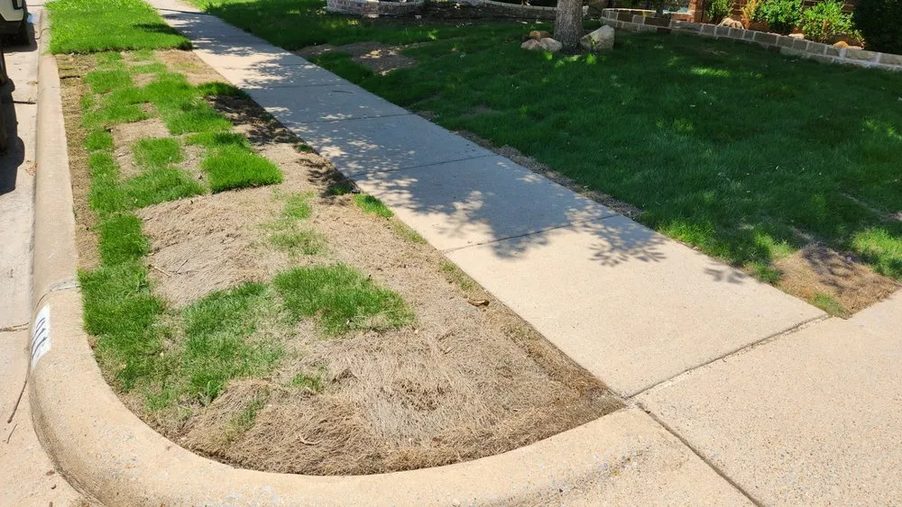 Professional garden landscaping experts serving Dallas, TX - Dallas Sod Company