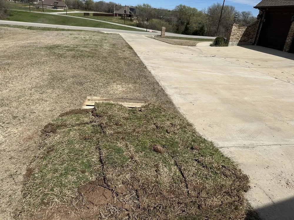 Top-rated lawn care service with custom design in Dallas, TX by Dallas Sod Company