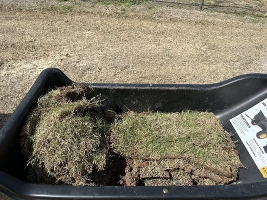 Dallas Sod Company Logo