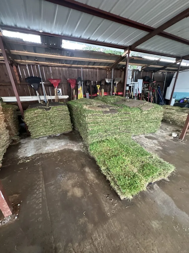 Top-rated lawn care service in Carrollton, TX - Dallas Sod Grass