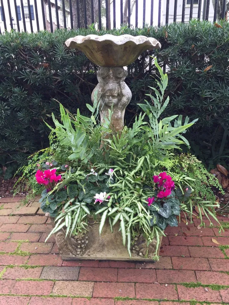 Expert outdoor landscaping for residential properties in Dallas, TX by Dallas Turf & Irrigation Specialists