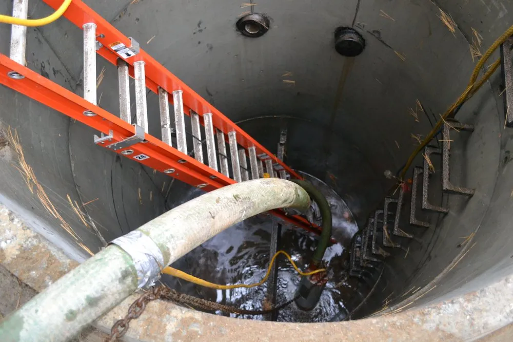 Expert yard maintenance in West Bridgewater, MA - D'Allessandro Corp.