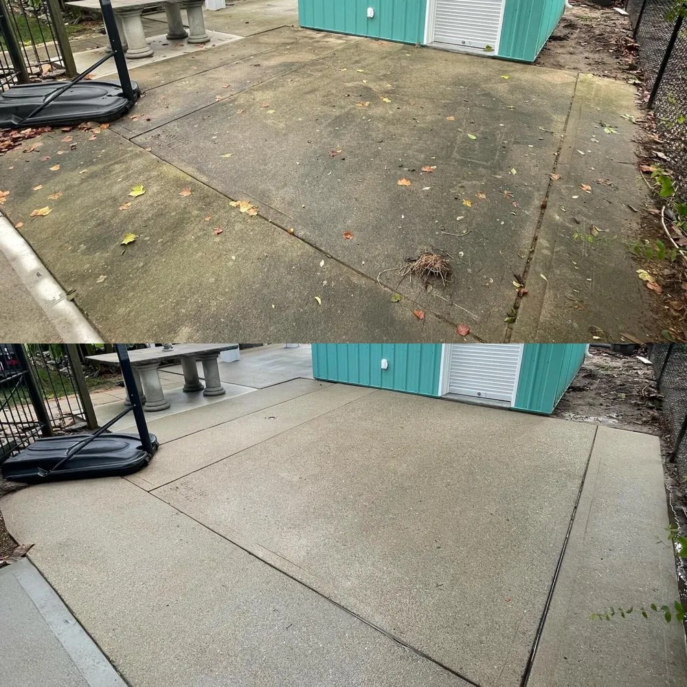Top-rated yard cleanup service for beautiful yards in Harrison, OH by DallioPro