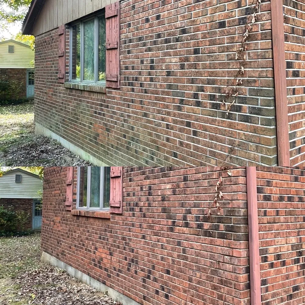 Custom yard maintenance in Harrison, OH by DallioPro