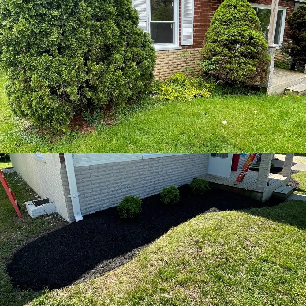 Trusted landscaping services in Harrison, OH by DallioPro