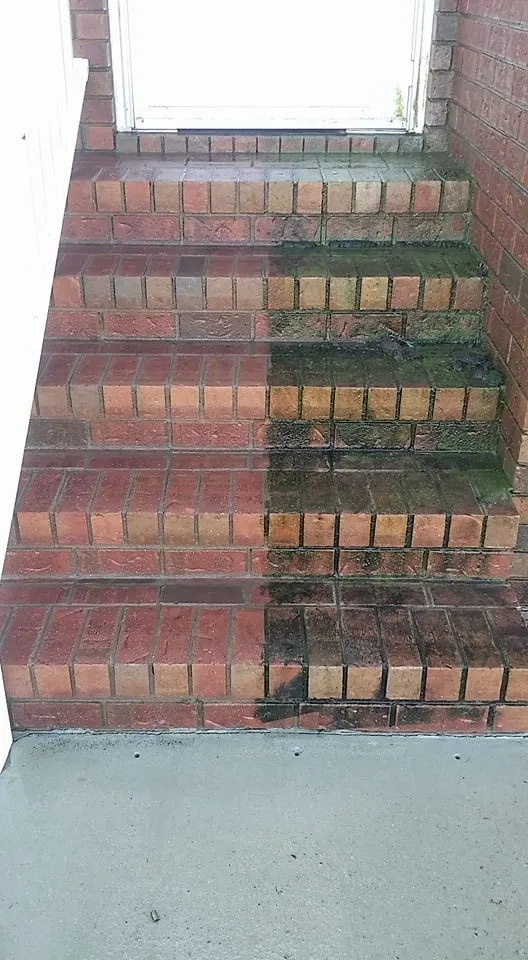 Expert landscape installation in Goldsboro, NC - Dalmatian Lawn Care & Pressure Washing