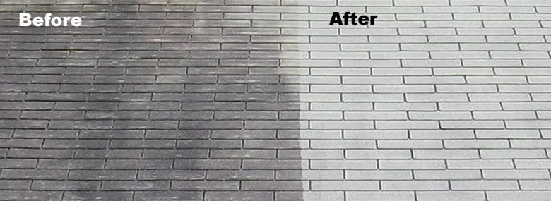 Top-rated residential landscaping in Goldsboro, NC by Dalmatian Lawn Care & Pressure Washing