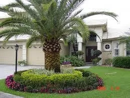 Professional landscaping services for residential properties in Ewa Beach, HI by Dalmatian Lawn Care