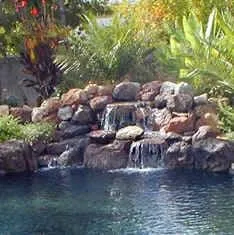 Professional yard cleanup service experts serving Ewa Beach, HI - Dalmatian Lawn Care