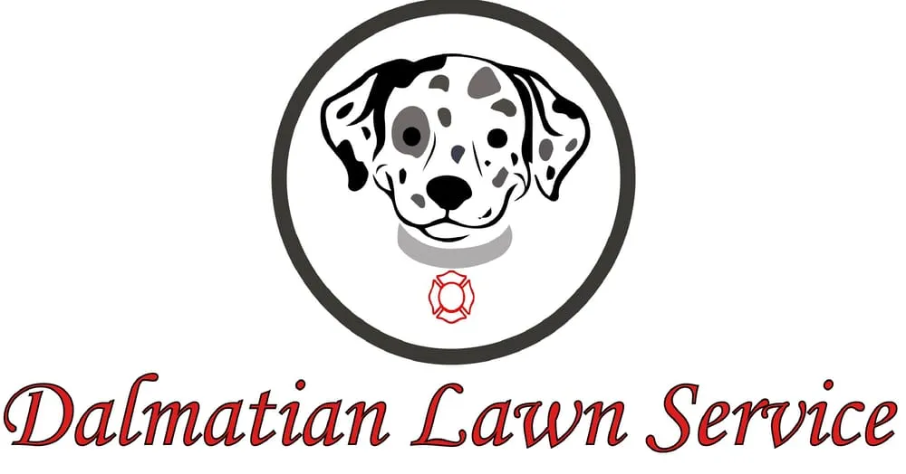 Custom lawn mowing service in Piedmont, SC by Dalmatian Lawn Service