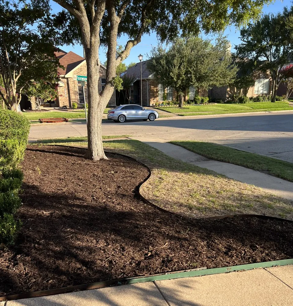 Trusted landscaping services in Rowlett, TX - Dalrock Lawn Care Services