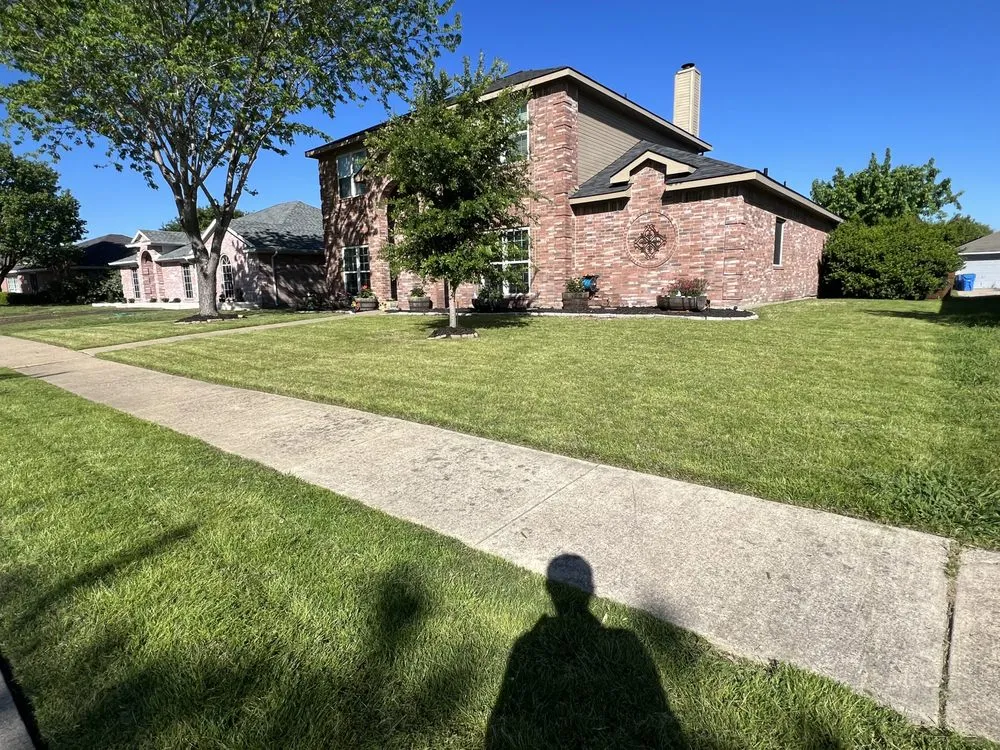 Custom landscape installation in Rowlett, TX by Dalrock Lawn Care Services