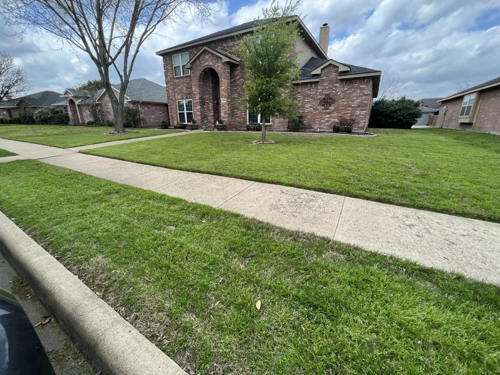 Custom yard cleanup service experts serving Rowlett, TX - Dalrock Lawn Care Services