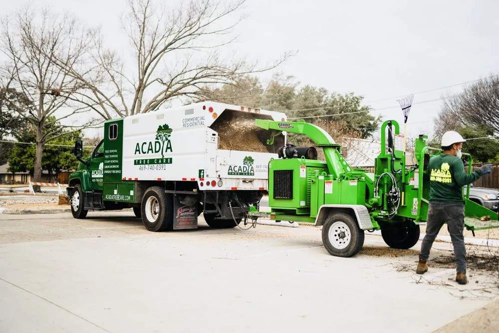 Custom yard maintenance in Richardson, TX by DaltexPro Landscape