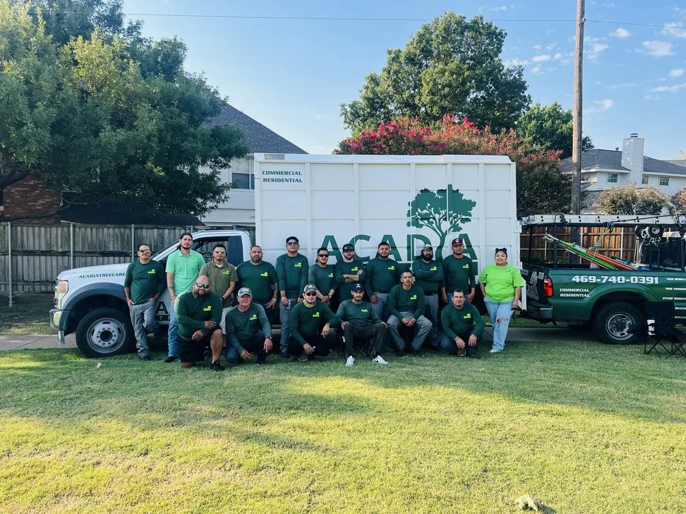 Trusted lawn mowing service in Richardson, TX - DaltexPro Landscape