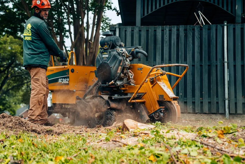 Professional residential landscaping experts serving Richardson, TX - DaltexPro Landscape