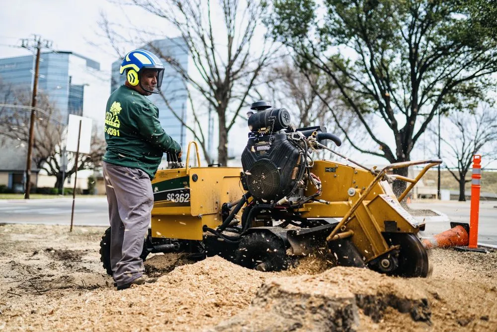 Reliable lawn mowing service in Richardson, TX - DaltexPro Landscape